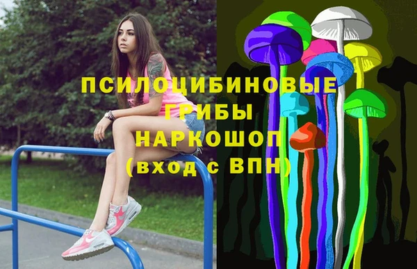 ПСИЛОЦИБИНОВЫЕ ГРИБЫ Алексеевка