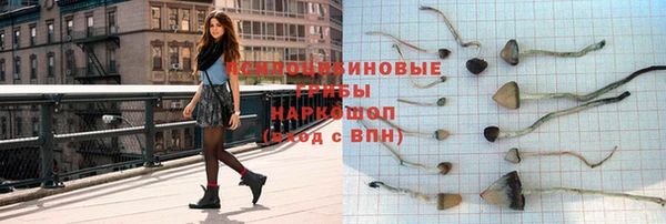 a pvp Алексин
