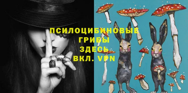 ПСИЛОЦИБИНОВЫЕ ГРИБЫ Алексеевка