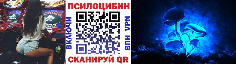 сколько стоит  гидра ТОР  Псилоцибиновые грибы мицелий  Новозыбков 
