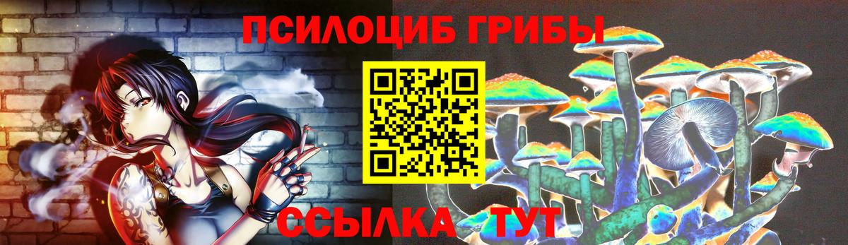 Псилоцибиновые грибы GOLDEN TEACHER  Вход с VPN  наркота  Новозыбков 