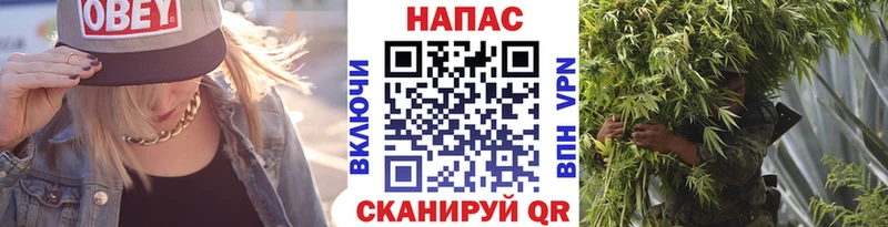 Бошки марихуана THC 21% Новозыбков