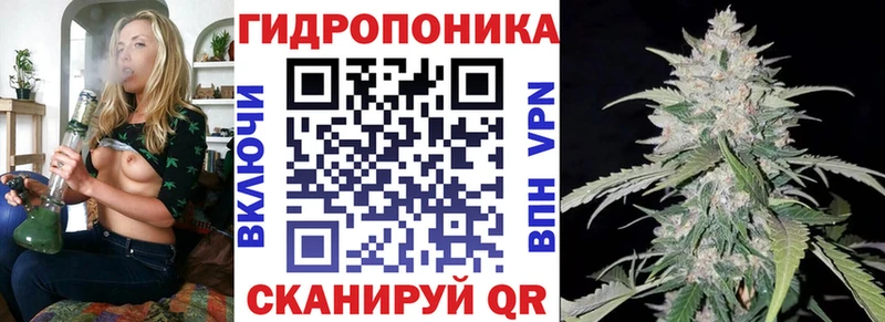 Канабис конопля это телеграм Новозыбков KRAKEN ССЫЛКА