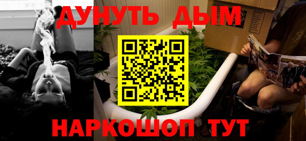 МАРИХУАНА план  Вход с VPN  Новозыбков  Марихуана VHQ  Конопля конопля 